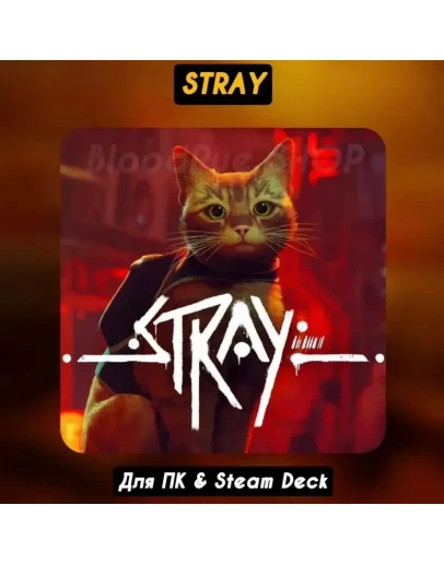 Stray