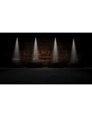 Way of the Hunter Remington Firearms Pack STEAM РОССИЯ Way of the Hunter Remington Firearms Pack STEAM РОССИЯ