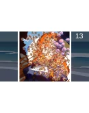 Glow up 1 АВТОДОСТАВКА STEAM GIFT РОССИЯ