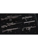 Insurgency: Sandstorm - Desert Veteran Weapon Skin Set