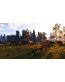 Windstorm: Start of a Great Friendship - Remastered