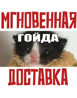 МЕМОЛОГИЯ: ЕГЭ ПО МЕМАМ SteamРФ + Весь МирKey