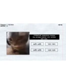 МЕМОЛОГИЯ: ЕГЭ ПО МЕМАМ SteamРФ + Весь МирKey