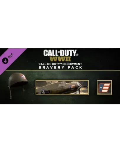 Call of Duty: WWII - Call of Duty Endowment Brave USA