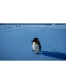 Penguin Helper АВТОДОСТАВКА STEAM GIFT РОССИЯ