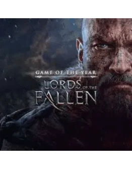 Lords of the Fallen (2014)PS4/PS5 Турция