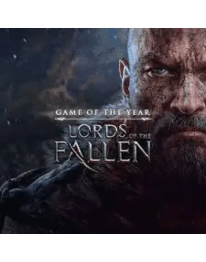 Lords of the Fallen (2014)PS4/PS5 Турция
