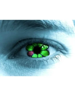 Скрипт магазина по продаже ICQ номеров + БОНУС