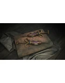 Hunt: Showdown - From the Wilds DLC * STEAM RU
