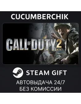 Call of Duty 2STEAM GIFT AUTORU+МИР
