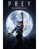 DLC Prey: Mooncrash Быстрая доставка
