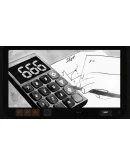 The Devil's Calculator (Steam Gift Россия)