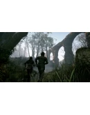 A Plague Tale: Innocence XBOXПокупка на Ваш акк