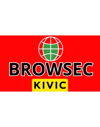 Browsec VPN Premium на 2-24 МесяцевРаботает в РФ