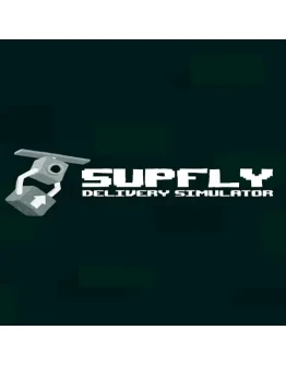 Supfly Delivery Simulator PS4/PS5 Турция