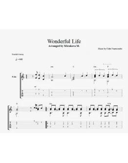 Wonderful Life