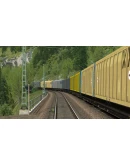 Train Simulator: Himrrs Freight Wagon DLC * STEAM RU