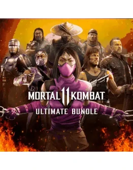 Mortal Kombat 11 Ultimate Add-On DLC PS Турция