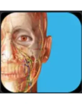 Human Anatomy Atlas 2025 Complete 3DMicrosoft Store