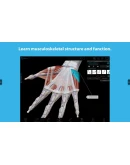 Human Anatomy Atlas 2025 Complete 3DMicrosoft Store