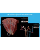 Human Anatomy Atlas 2025 Complete 3DMicrosoft Store