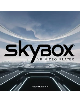 SKYBOX VR VIDEO PLAYER META QUEST БЫСТРО