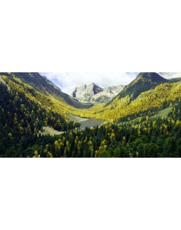 REX ACCU SEASON MSFS2020 Аккаунт