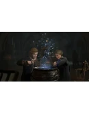 Hogwarts Legacy XBOX ONE и Series XS Версии