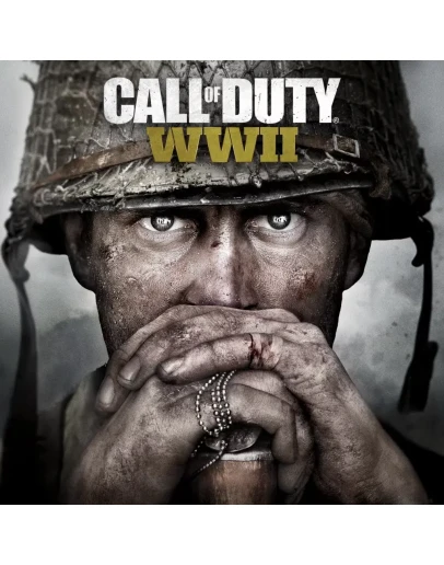 Все регионыCall of Duty: WWII (2017) STEAM