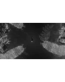 Silt (Steam key / РФ+Весь мир)