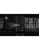 Silt (Steam key / РФ+Весь мир)