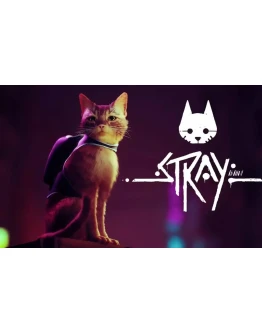 STRAY + МЕГАБОНУС ИГРЫ