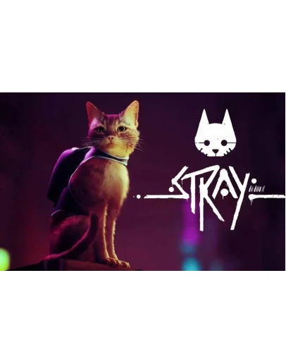 STRAY + МЕГАБОНУС ИГРЫ