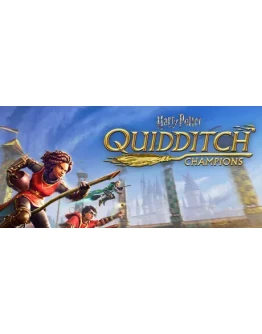 Harry Potter: Quidditch Champions Deluxe Edition steam