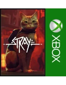 Stray XBOXПокупка на Ваш акк