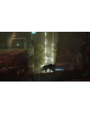 Stray XBOXПокупка на Ваш акк