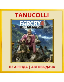 Far cry 4 (PS/PS4/PS5/RU) Аренда 7 суток