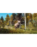 Way of the Hunter - Lintukoto Reserve DLC STEAM РОССИЯ