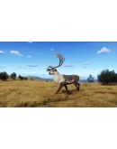 Way of the Hunter - Lintukoto Reserve DLC * STEAM RU