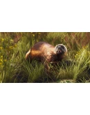 Way of the Hunter - Lintukoto Reserve DLC * STEAM RU