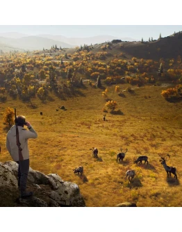 DLC Way of the Hunter - Lintukoto Reserve Быстро DLC Way of the Hunter - Lintukoto Reserve Быстро