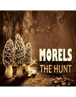 Morels: The Hunt 2 ПК Epic Games EGS