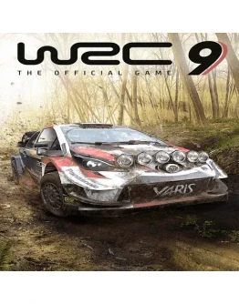 WRC9 FIA World Rally PS4/PS5 Турция