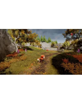 Tamarin КЛЮЧ STEAM РФ+СНГ