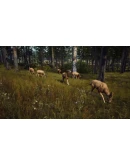 Way of the Hunter КЛЮЧ STEAM РФ+СНГ