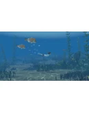 Storm Boy КЛЮЧ STEAM РФ+СНГ