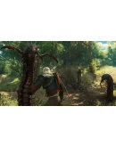 Ведьмак 3 Дикая Охота Кровь и вино Steam/РФ/СНГ