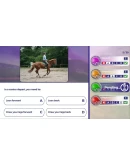 Equestrian Training КЛЮЧ STEAM ВСЕ СТРАНЫ
