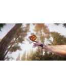 The Forest Cathedral КЛЮЧ STEAM ВСЕ СТРАНЫ