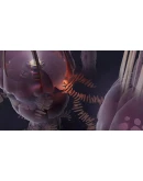 Cocoon КЛЮЧ STEAM РФ+СНГ